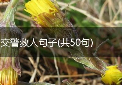 交警救人句子(共50句)