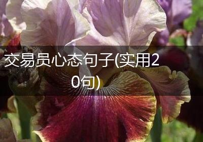 交易员心态句子(实用20句)