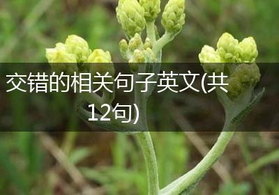 交错的相关句子英文(共12句)