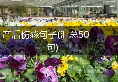 产后伤感句子(汇总50句)