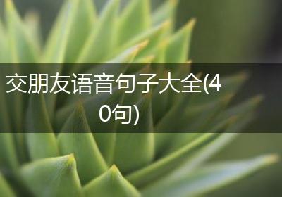 交朋友语音句子大全(40句)