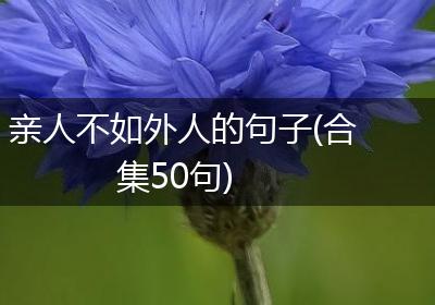 亲人不如外人的句子(合集50句)