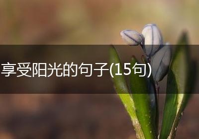 享受阳光的句子(15句)