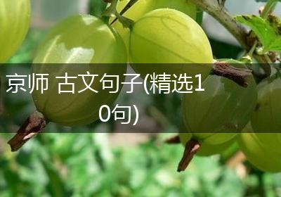 京师 古文句子(精选10句)