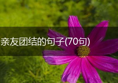 亲友团结的句子(70句)
