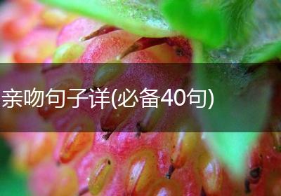 亲吻句子详(必备40句)