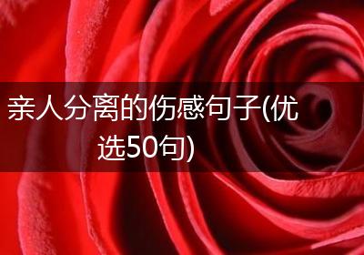 亲人分离的伤感句子(优选50句)