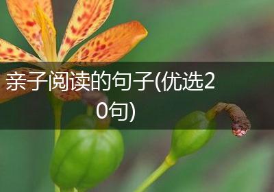 亲子阅读的句子(优选20句)
