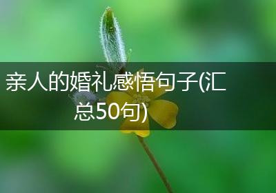 亲人的婚礼感悟句子(汇总50句)