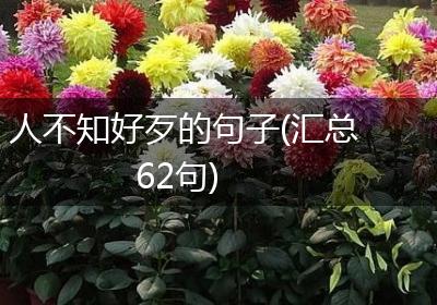 人不知好歹的句子(汇总62句)