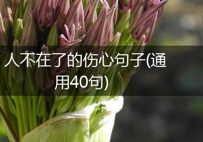 人不在了的伤心句子(通用40句)