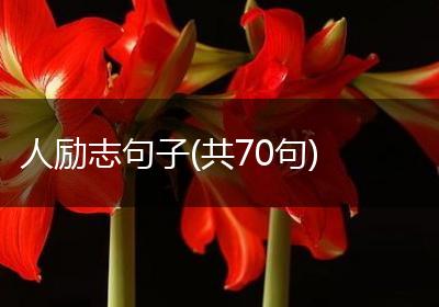 人励志句子(共70句)