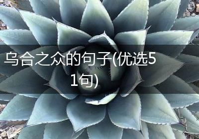 乌合之众的句子(优选51句)