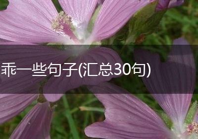 乖一些句子(汇总30句)