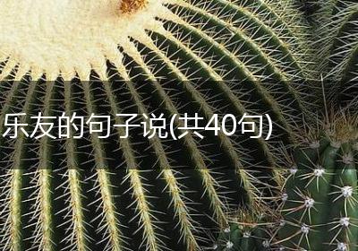 乐友的句子说(共40句)