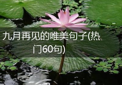 九月再见的唯美句子(热门60句)