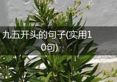 九五开头的句子(实用10句)