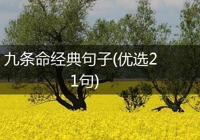 九条命经典句子(优选21句)