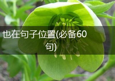 也在句子位置(必备60句)