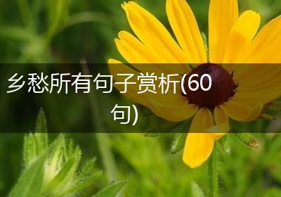 乡愁所有句子赏析(60句)