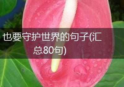 也要守护世界的句子(汇总80句)