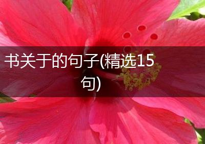 书关于的句子(精选15句)