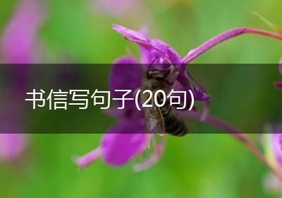 书信写句子(20句)
