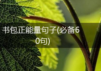 书包正能量句子(必备60句)
