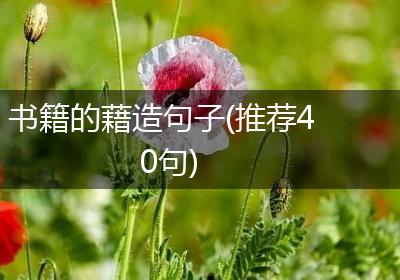 书籍的藉造句子(推荐40句)