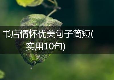 书店情怀优美句子简短(实用10句)