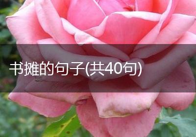 书摊的句子(共40句)