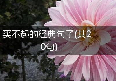 买不起的经典句子(共20句)