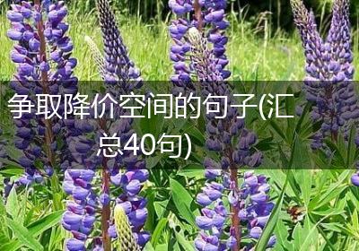 争取降价空间的句子(汇总40句)