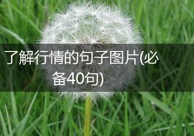 了解行情的句子图片(必备40句)