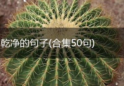 乾净的句子(合集50句)