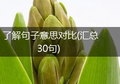 了解句子意思对比(汇总30句)
