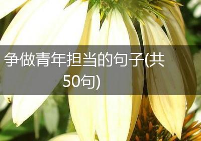 争做青年担当的句子(共50句)