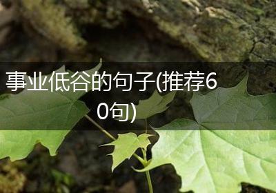 事业低谷的句子(推荐60句)