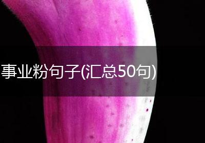事业粉句子(汇总50句)