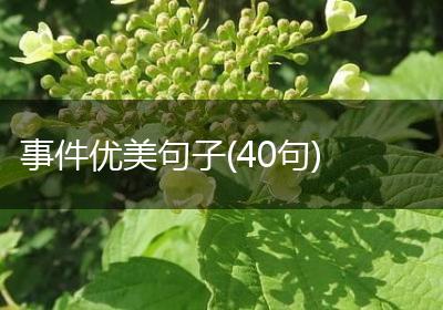 事件优美句子(40句)