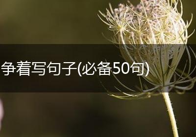 争着写句子(必备50句)