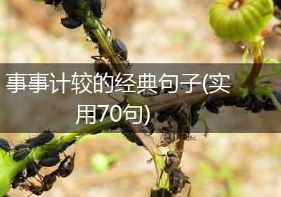 事事计较的经典句子(实用70句)
