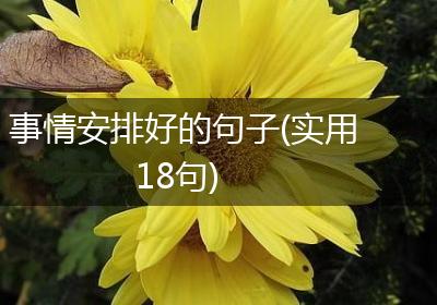 事情安排好的句子(实用18句)