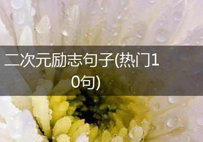 二次元励志句子(热门10句)