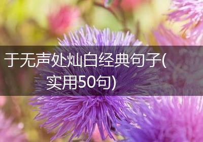于无声处灿白经典句子(实用50句)