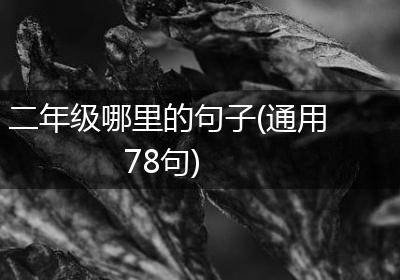 二年级哪里的句子(通用78句)