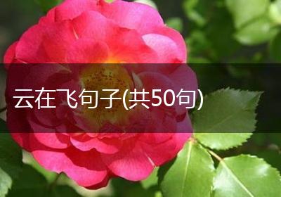 云在飞句子(共50句)