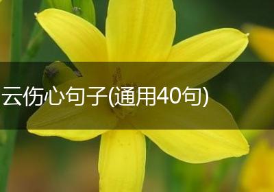 云伤心句子(通用40句)