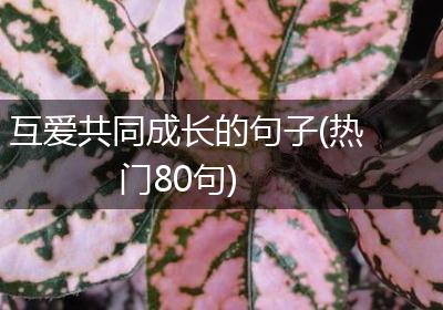 互爱共同成长的句子(热门80句)