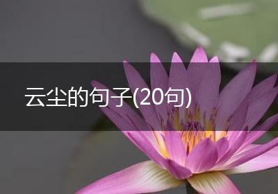 云尘的句子(20句)